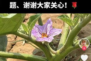 ?直播吧视频直播预告：今夜3点吉达德比！菲米对决本泽马